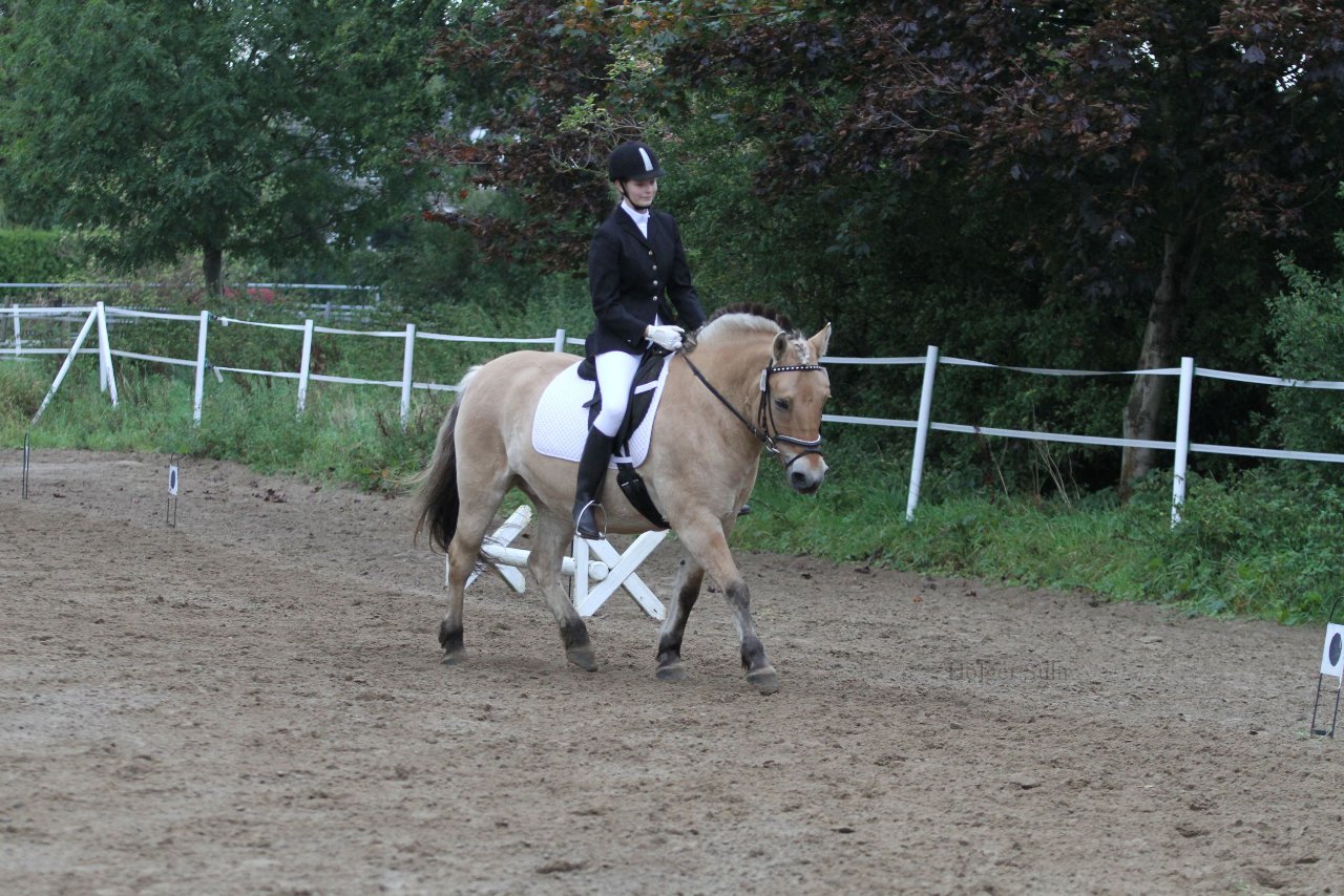 Bild 413 - WBO-Turnier am 18.9.11